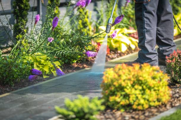 Best Fence Cleaning  in Tyler, TX